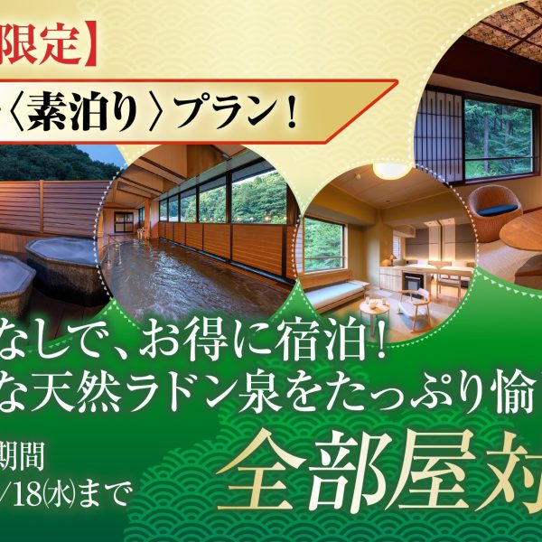 260300_プラン画像_素泊まり_金泉閣